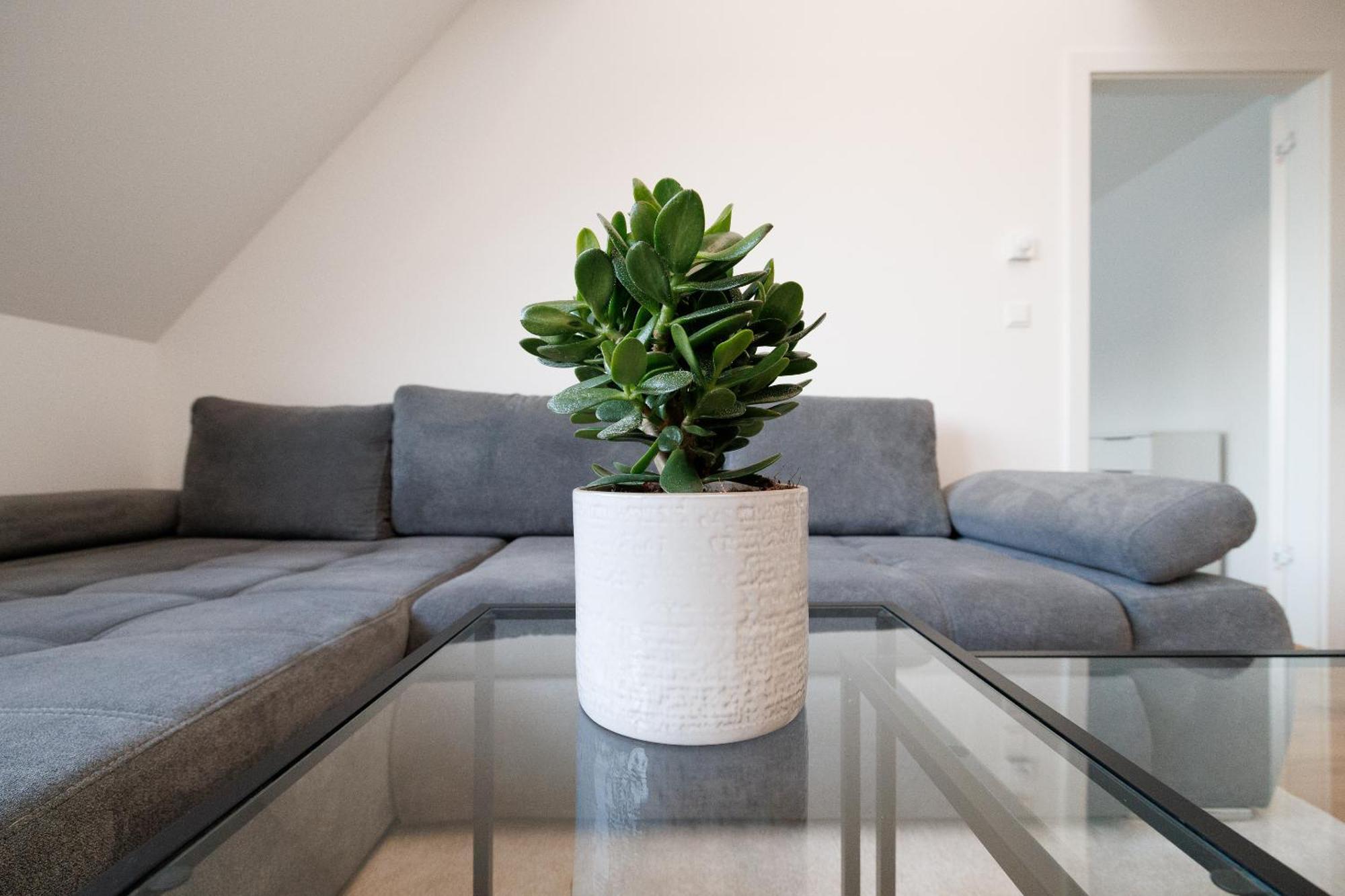 Symphony Apartments 41 - Modern Loft With Terrace And Grill In Central Location Bécs Kültér fotó